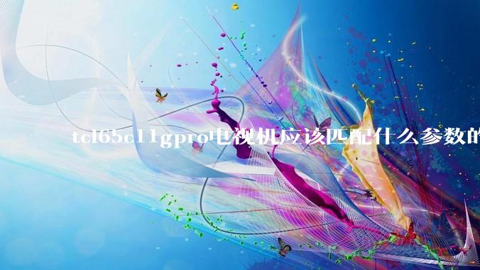 tcl65c11gpro电视机应该匹配什么参数的网关，路由器和光猫？现在的网速是500兆的电信运营商？